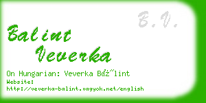 balint veverka business card